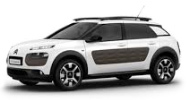 C4 Cactus (2014-)