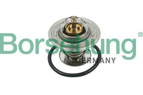 Термостат VW T4/T5/Audi A3/A6 1.9D/1.9/2.0TDI/2.0 90- (від 87 до 102 °C) (OE VAG) borsehung b13141