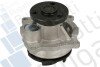 Помпа води Ford Focus I/Mondeo II/Transit/Tourneo Connect 1.6/1.8/2.0 16V 02-13 (R/B) (6 лоп.) bugatti pa6013 (фото 1)