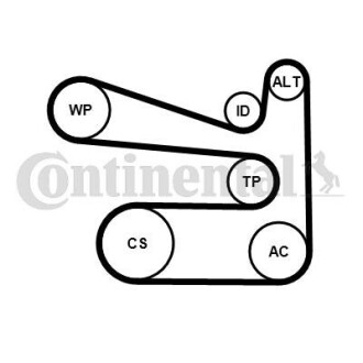 Комплект (ремінь+ролики) contitech 6PK1693 K1