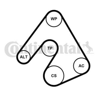 Contitech 6PK2490WP1 (фото 1)