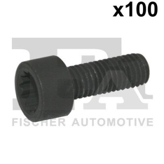 Болт с головкой системы TORX из черного металла fischer Automotive One (FA1) 982-T08-222.100