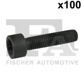 Болт с головкой системы TORX из черного металла fischer Automotive One (FA1) 982-T08-236.100