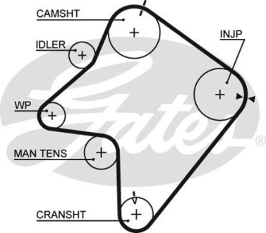 Gates 5354 XS