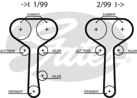 Gates 5508 XS