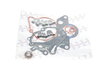 Ремкомплект насосу вакуумного Audi A2/A3/A4/A6/VW Golf/Ford Galaxy 1.4-1.9 TDI 00-10 gazo gz-f1013