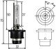 D4S 42V 35W Лампа розжарювання XENON STANDARD hella 8GS007949311 (фото 1)