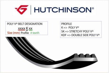 Ремінь генератора Ford Focus 1.4/1.6 Ti 03- (5PK868) hutchinson 868 SK 5