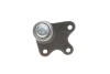 Опора кульова (передня/знизу/L) Seat Cordoba/Ibiza 02-/Skoda Fabia 99-14/Roomster 06-15/VW Polo 01- rts 9305340256 (фото 4)