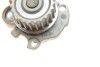 Комплект ГРМ + помпа Skoda Fabia/Octavia/VW Caddy/Golf/Passat/T5 2.0/2.4D 99- (23x138z)(VKPC 81620) skf vkmc011132 (фото 8)