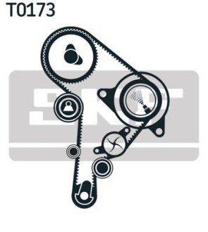 Комплект ГРМ + помпа Skoda Octavia/VW Golf IV 1.9 TDI 96-05 (25x141z) skf vkmc 01130