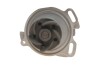 Помпа води VW T4 2.4D 91-95 (18z) (AAB) skf vkpc81803 (фото 3)