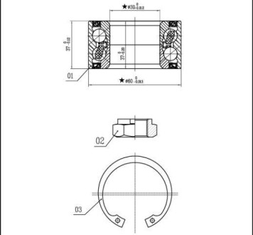 Starline lo 01307