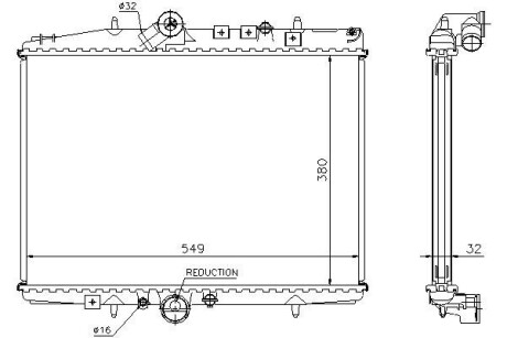 Starline pea2217