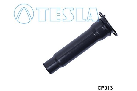 Tesla cp013