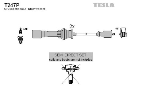 Tesla t247P