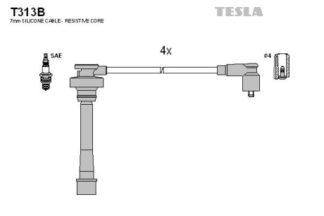 Tesla t313B