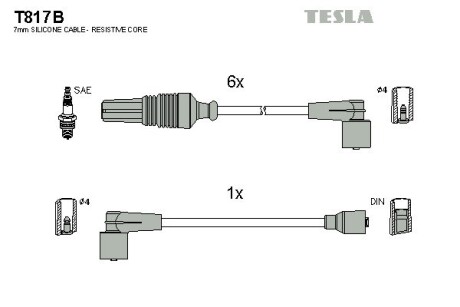 Tesla t817B