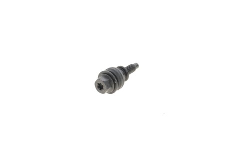 Болт внутр. TORX з гумовою втулкою AUDI/VW vag 06J103831