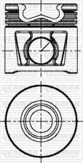 Поршень с кольцами і пальцем (размер отв. 88,00/STD) FIAT Ducato 2.3D Multijet 06-, IVECO Daily 2,3D (F1AE 0481C EURO 3) yenmak 31-04831-000